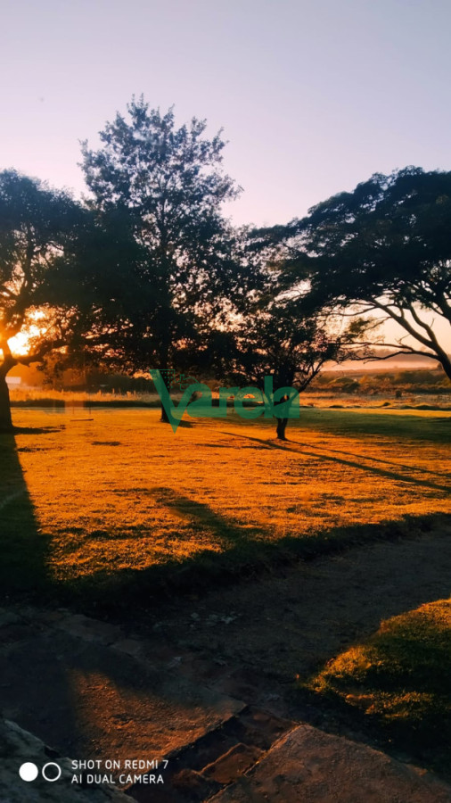 Chacra ID.22798 - Venta de Chacra 3 Hás en Suarez