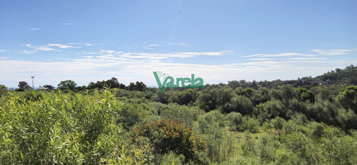 Chacra ID.22872 - Chacra Marítima de 5 has.en Playa Hermosa, a 9 cuadras de la playa