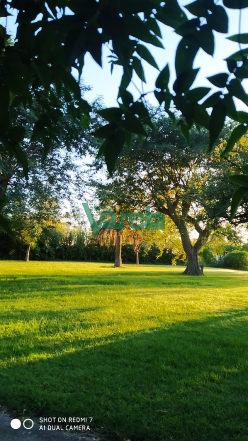 Chacra ID.22798 - Venta de Chacra 3 Hás en Suarez