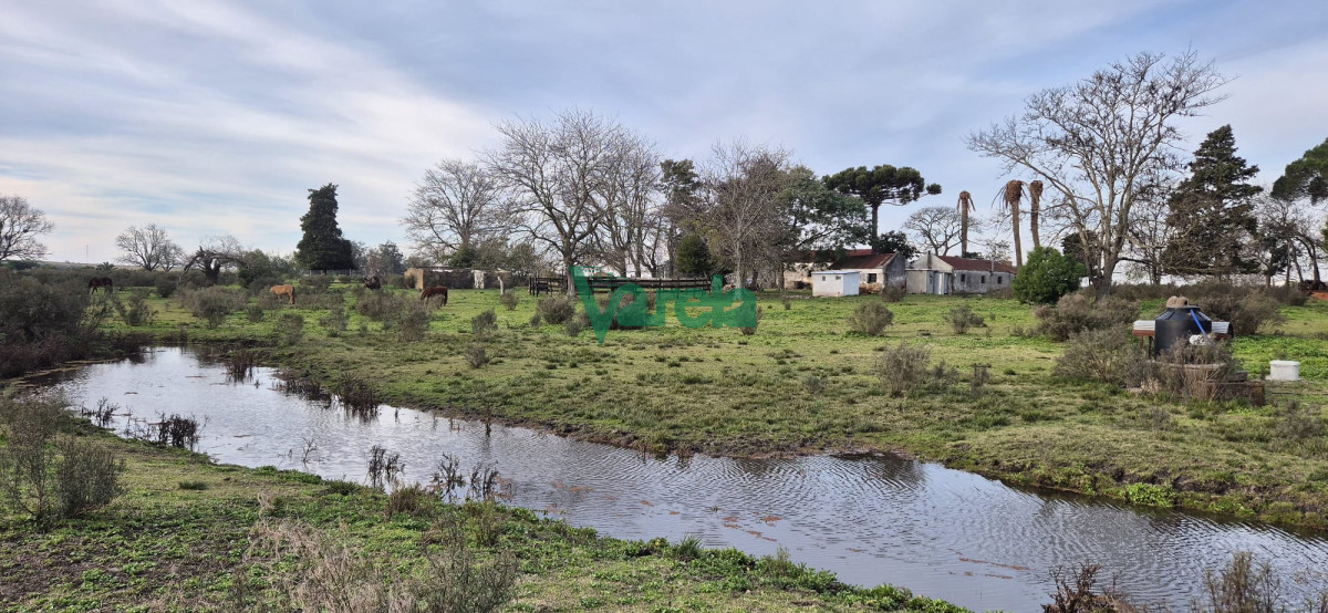 Chacra ID.22729 - Chacra 7,5 has.próxima a Estación Migues