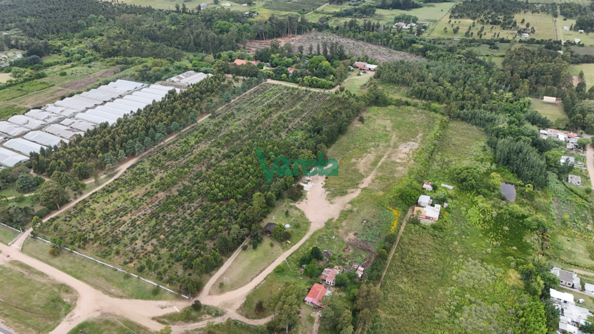 Chacra ID.22857 - Venta chacra baldia 3 hectares Ruta 6 Toledo 100% financiada