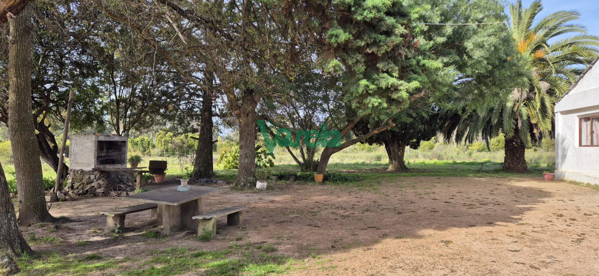 Chacra ID.22771 - Venta de Chacra de 6 hectareas en Santa Lucia del Este