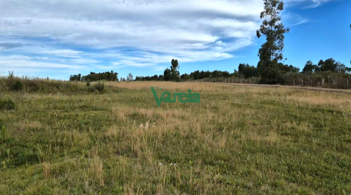 Chacra ID.22462 - Chacras de la Bodega, sobre la Ruta 80 km.73
