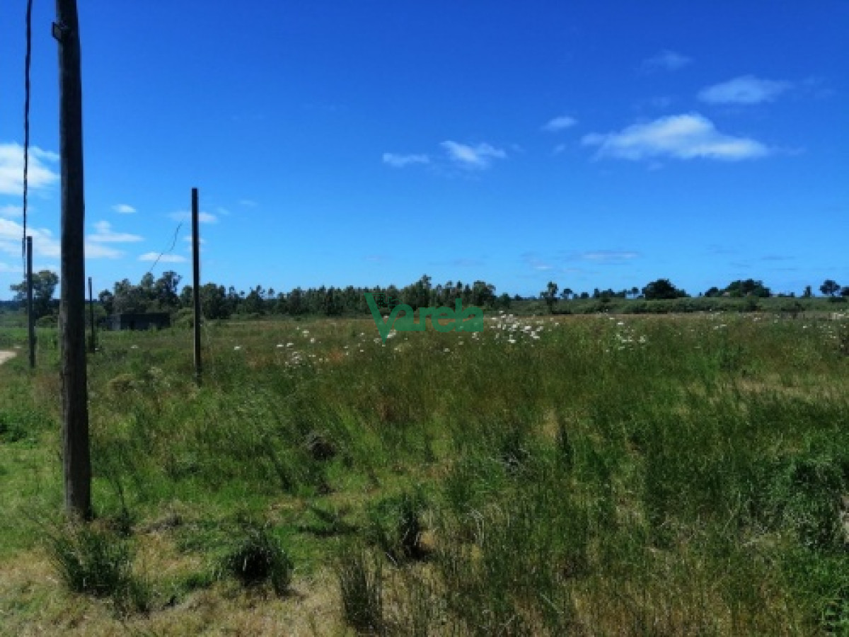 Chacra ID.21434 - Venta de Chacra, en Pando,  3.8715 hectáreas 
