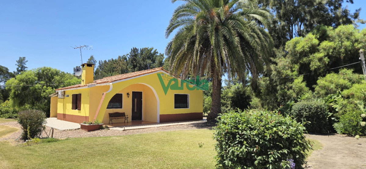 Chacra ID.22516 - Casa con gran terreno de 9026 m2 sobre Ruta 11 