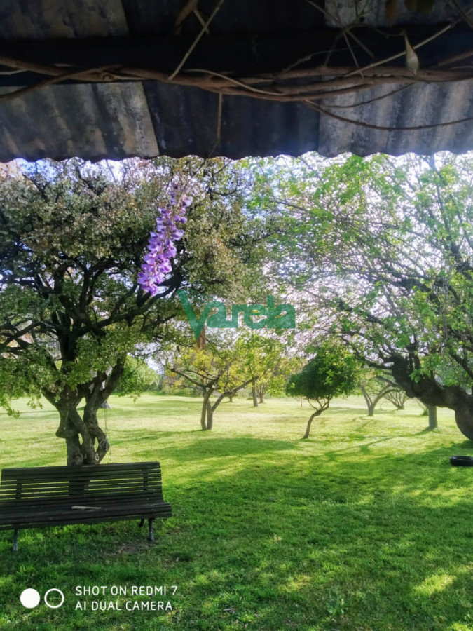 Chacra ID.22798 - Venta de Chacra 3 Hás en Suarez