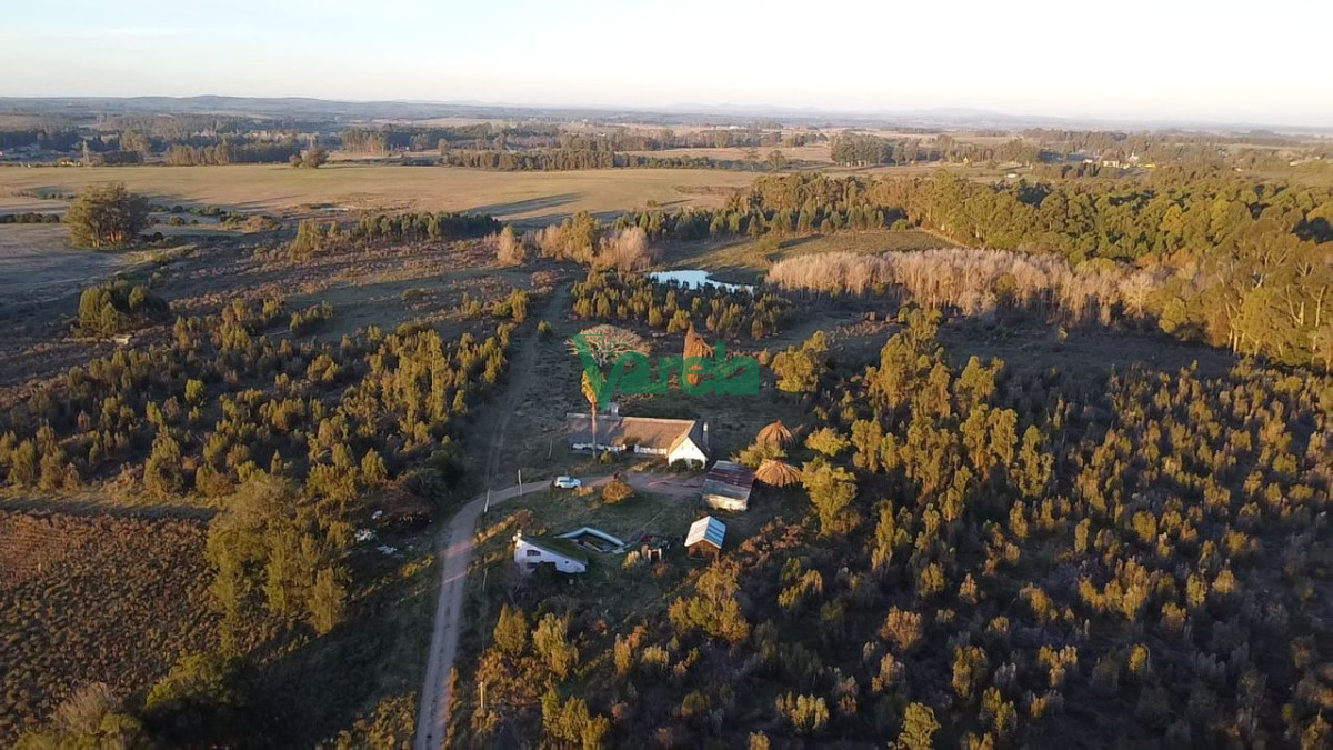 Chacra ID.22673 - Venta Chacra 10 has km 45 ruta 8 Empalme Olmos Canelones