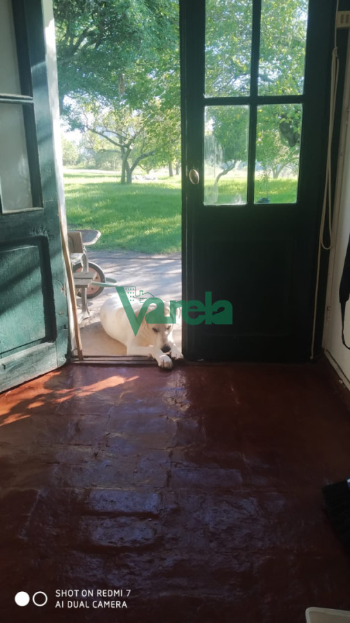 Chacra ID.22798 - Venta de Chacra 3 Hás en Suarez