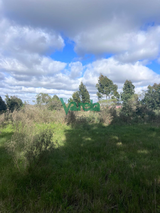 Chacra ID.22265 - venta chacra con galpon baño y ambiente toledo