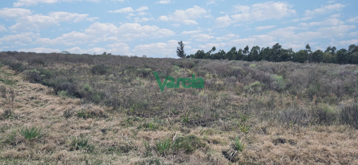 Chacra ID.22758 - Chacraa 3,8449 has. Capilla Cella