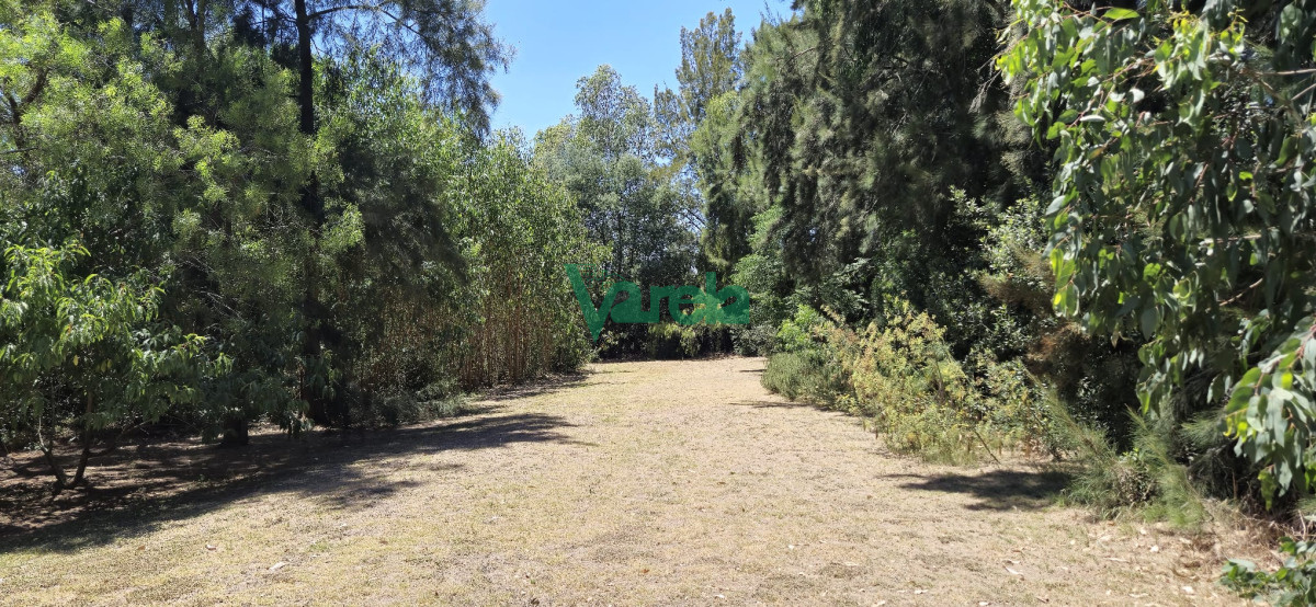 Chacra ID.22516 - Casa con gran terreno de 9026 m2 sobre Ruta 11 