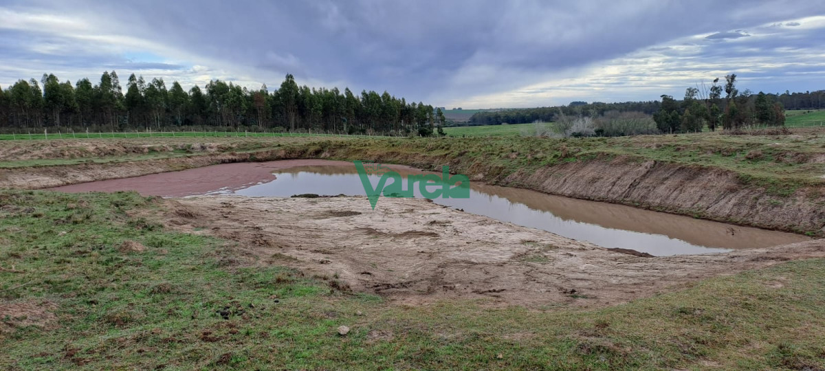 Chacra ID.21842 - Venta de Chacra, Ruta 11, km.152, de 3,5 has. a 200 metros de Ruta 
