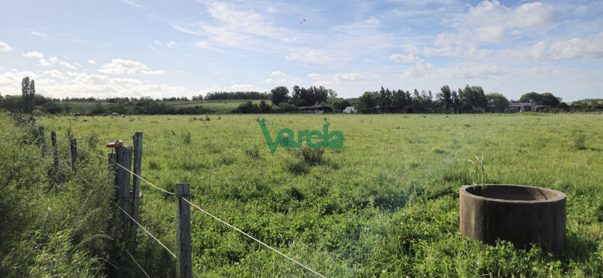Chacra ID.23036 - Venta chacra 13 hectareas entre Estación Pedrera y Estación Tapia