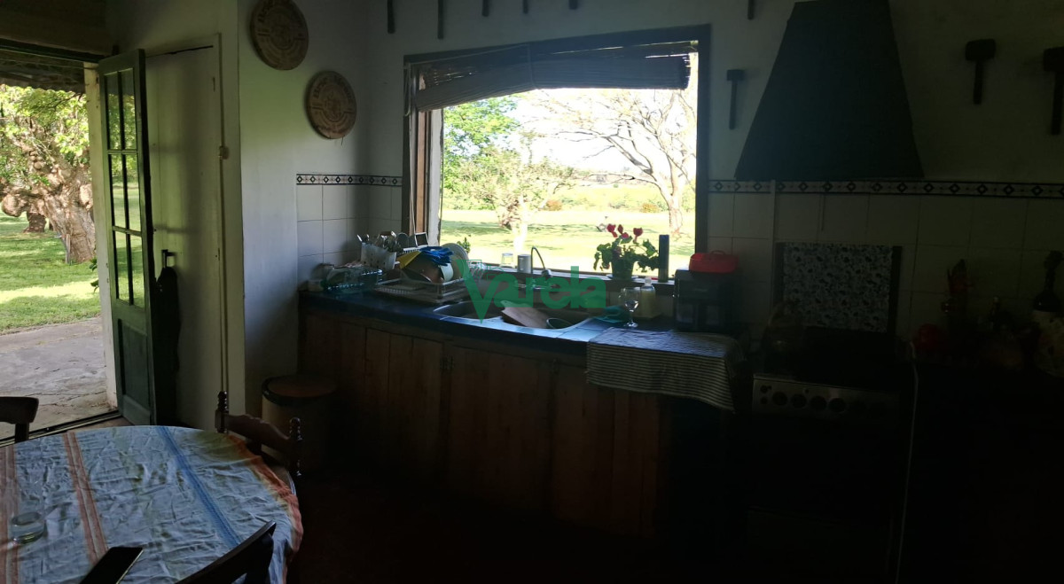 Chacra ID.22798 - Venta de Chacra 3 Hás en Suarez