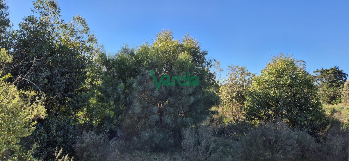 Chacra ID.22328 - Chacra 3 has.Fortín Santa Rosa