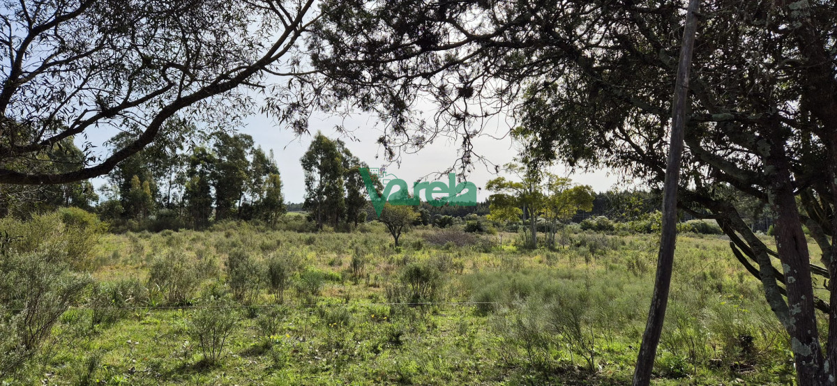 Chacra ID.22771 - Venta de Chacra de 6 hectareas en Santa Lucia del Este