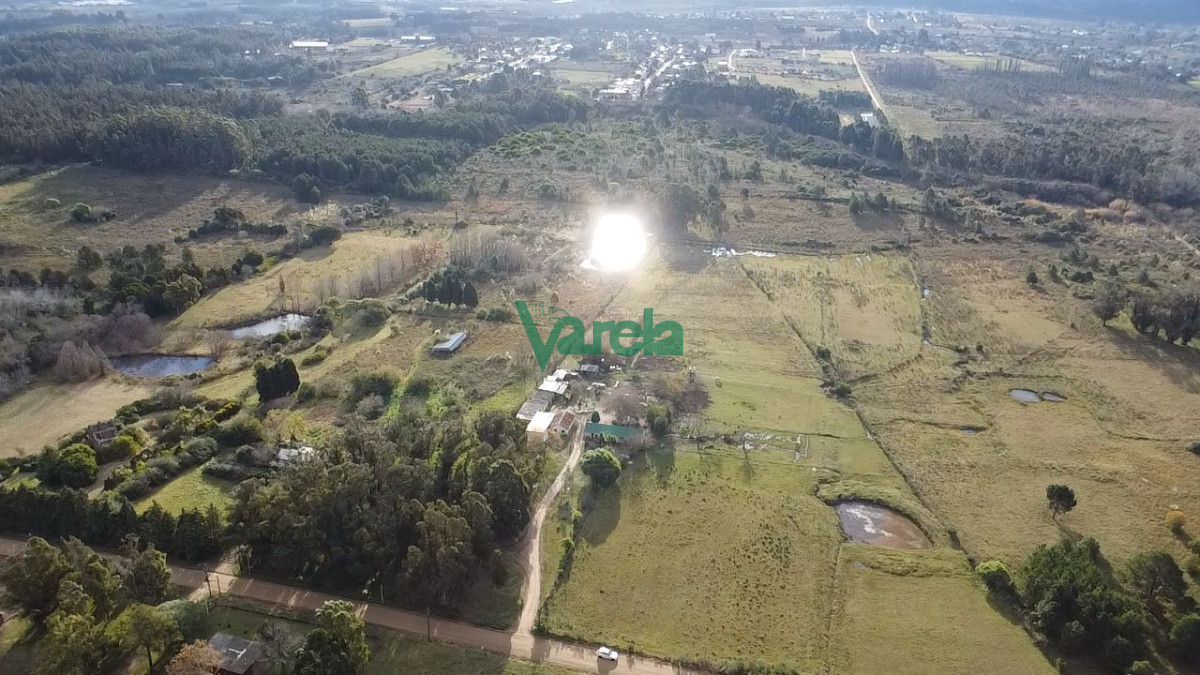 Chacra ID.22667 - Venta chacra 6.5 has Montevideo Rural Proximo Campeon Del Siglo