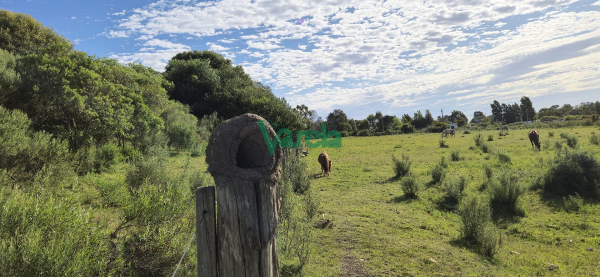 Chacra ID.22872 - Chacra Marítima de 5 has.en Playa Hermosa, a 9 cuadras de la playa
