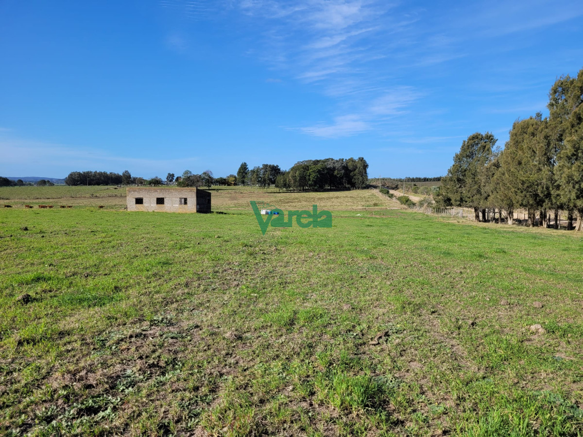 Chacra ID.22478 - Venta de chacra en Atlantida