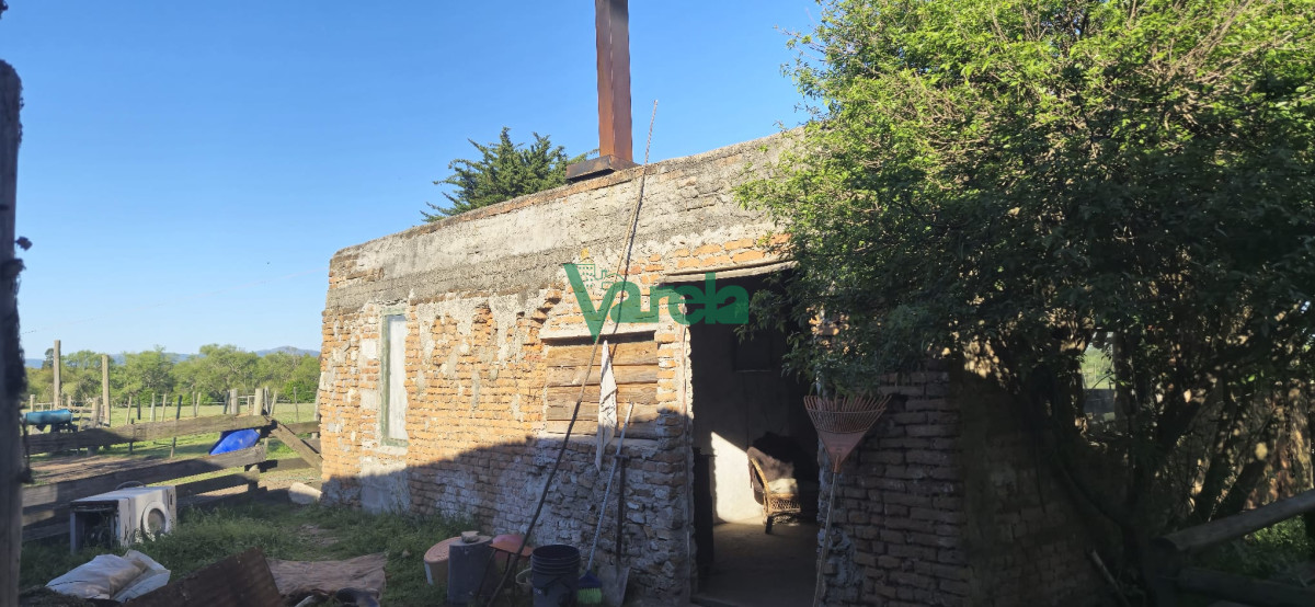 Campo Ref.22419 - Campo de 27 has.en zona Piedras de Afilar
