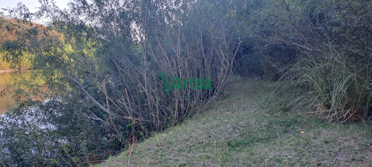 Campo Ref.21665 - Venta de Campo, Paso del Sordo, Florida, excelente campo de 37.5 has 