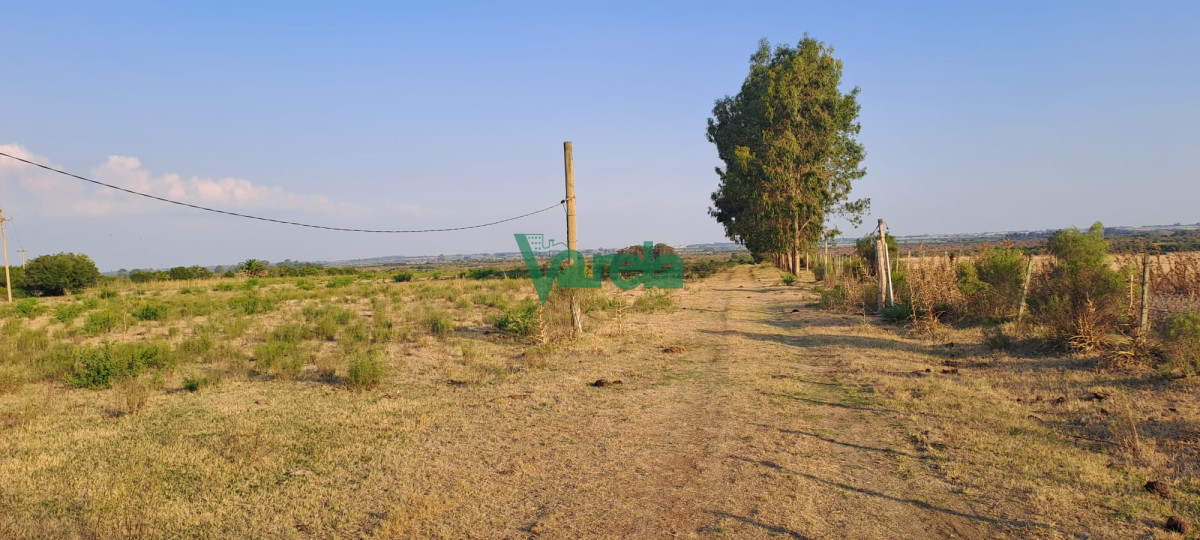 Campo Ref.21665 - Venta de Campo, Paso del Sordo, Florida, excelente campo de 37.5 has 
