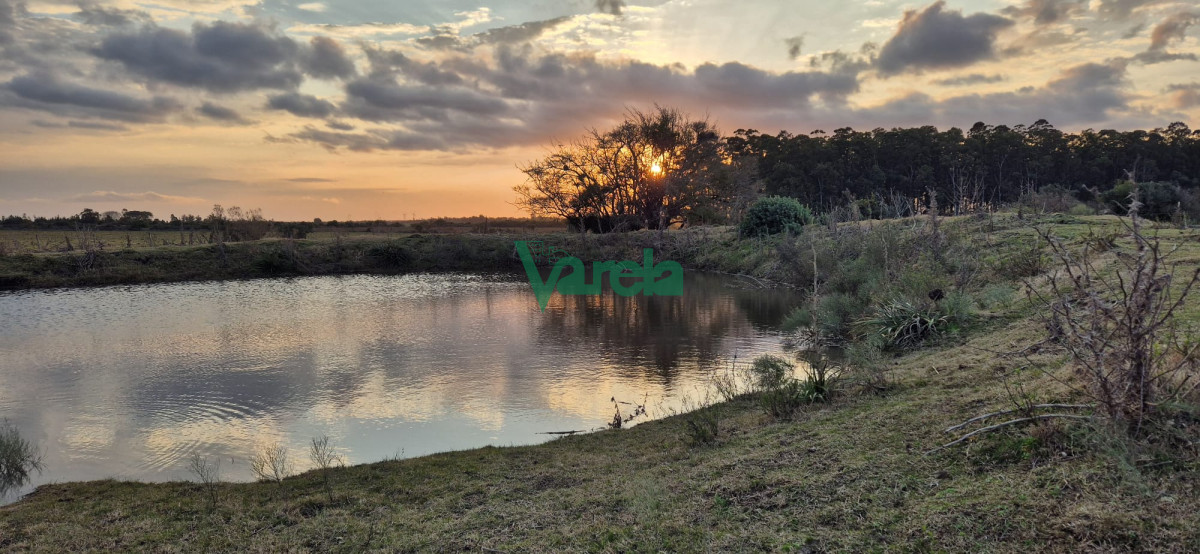 Campo Ref.22747 - Campo en venta , 36 has.a 7 km.de Solís de Mataojo 