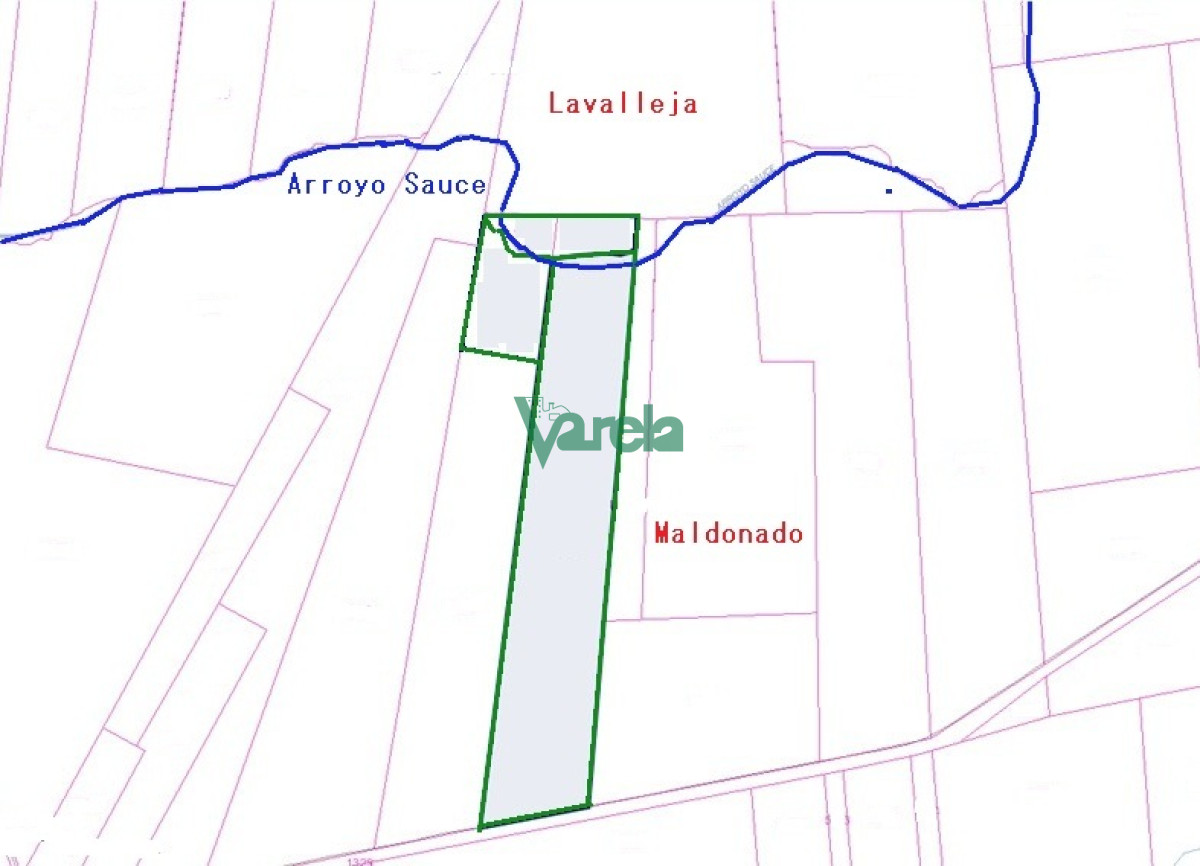Campo Ref.22747 - Campo en venta , 36 has.a 7 km.de Solís de Mataojo 