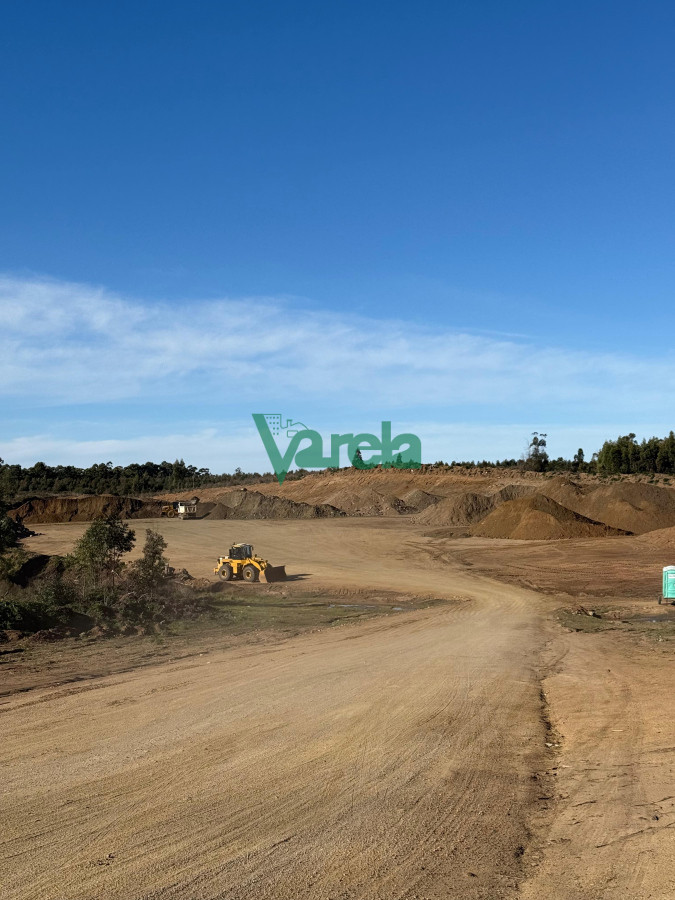 Campo Ref.22676 - Campo de 245 has.sobre Ruta 9, Zona Capilla Cella