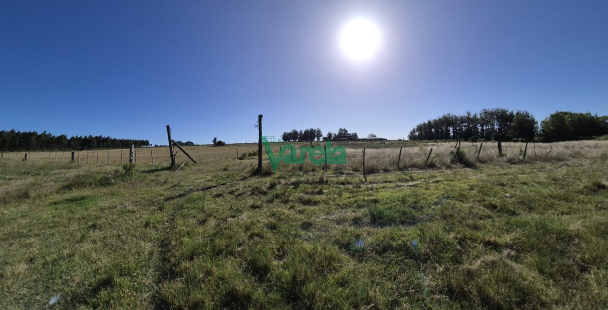Campo Ref.22558 - Campo 31 has. Cañada Grande, próximo a Empalme Olmos y Ruta 8