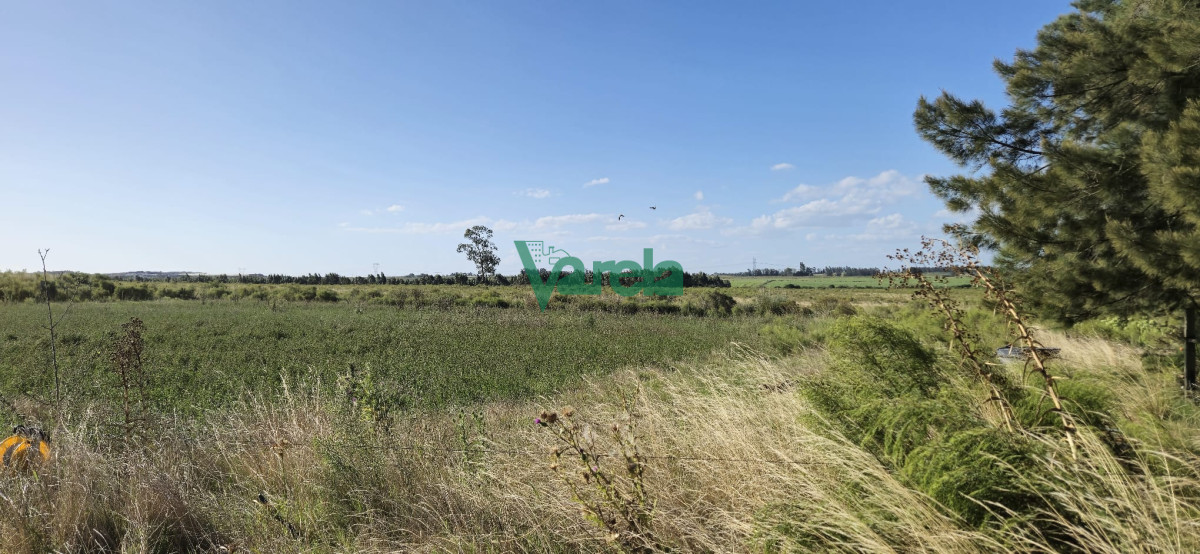 Campo Ref.22558 - Campo 31 has. Cañada Grande, próximo a Empalme Olmos y Ruta 8
