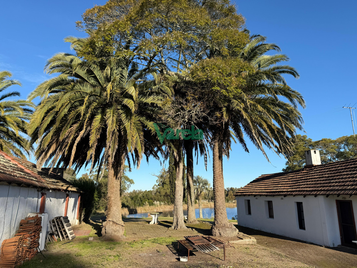 Campo Ref.22676 - Campo de 245 has.sobre Ruta 9, Zona Capilla Cella