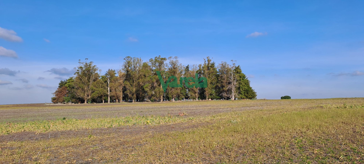Campo Ref.21786 - Campo 108 has. próximo a San Jacinto