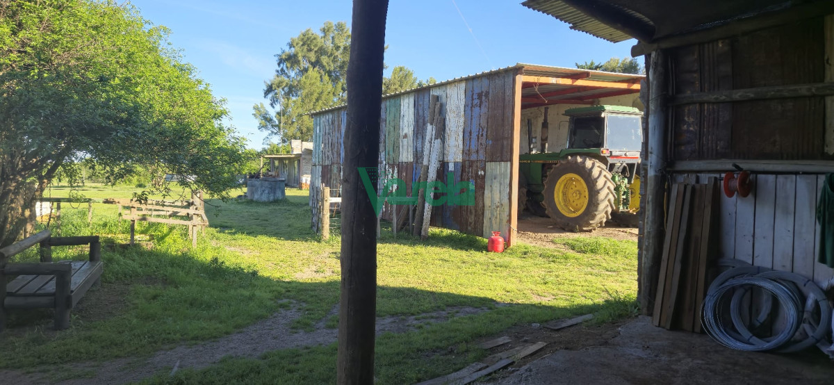Campo Ref.22419 - Campo de 27 has.en zona Piedras de Afilar