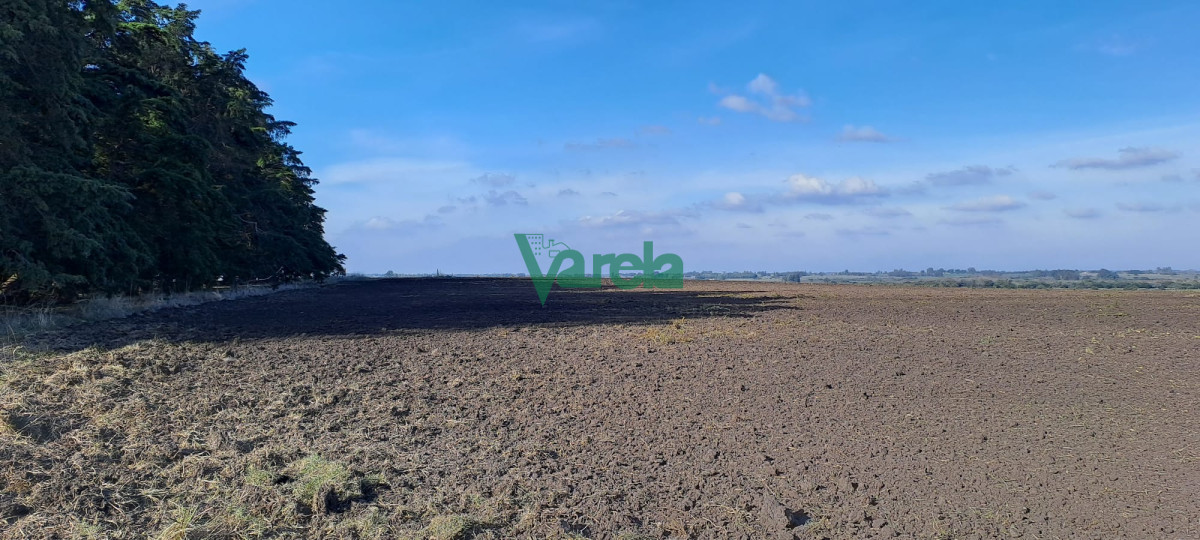 Campo Ref.21786 - Campo 108 has. próximo a San Jacinto