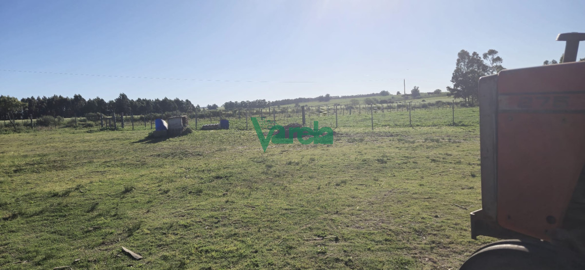 Campo Ref.22419 - Campo de 27 has.en zona Piedras de Afilar