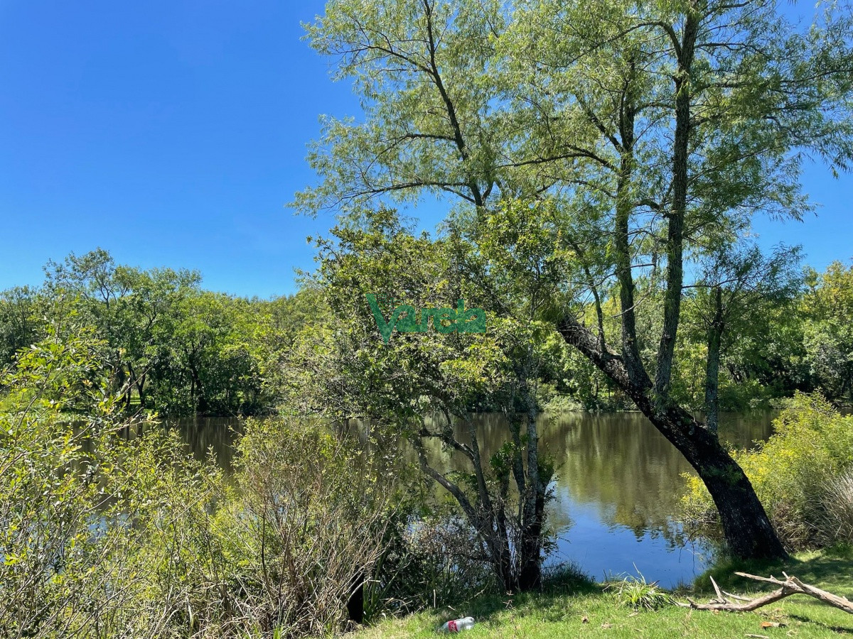 Campo Ref.21437 - Campo de 91 has. en Pando, con costa sobre el arroyo Pando