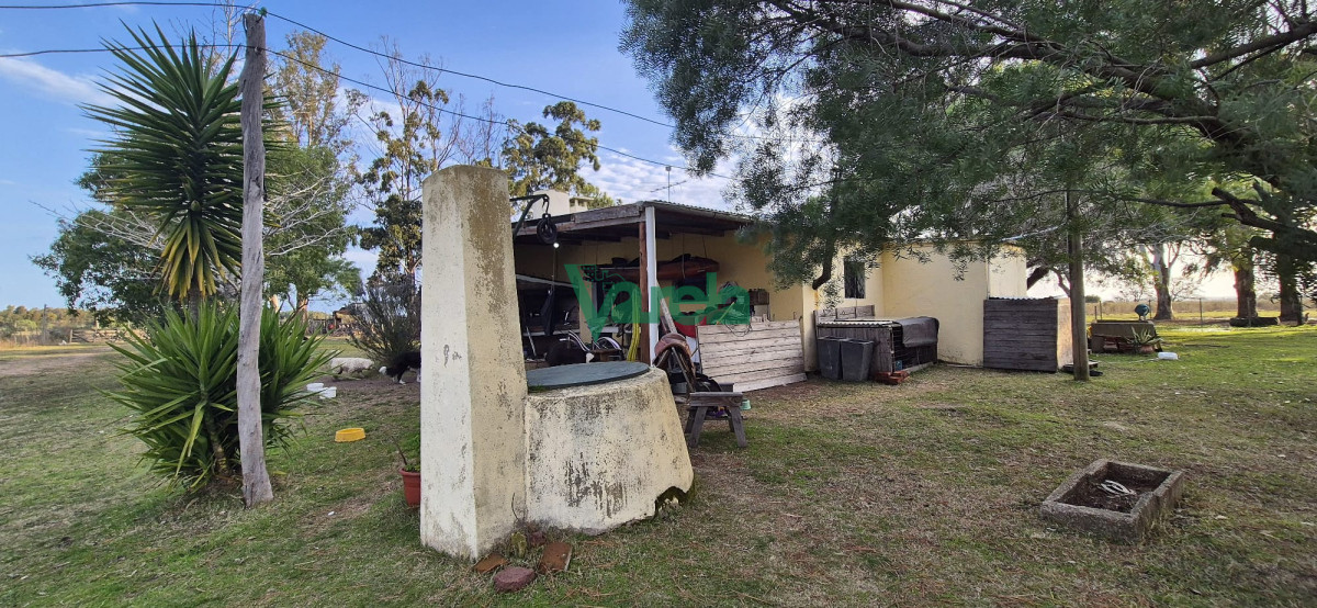 Campo Ref.22747 - Campo en venta , 36 has.a 7 km.de Solís de Mataojo 