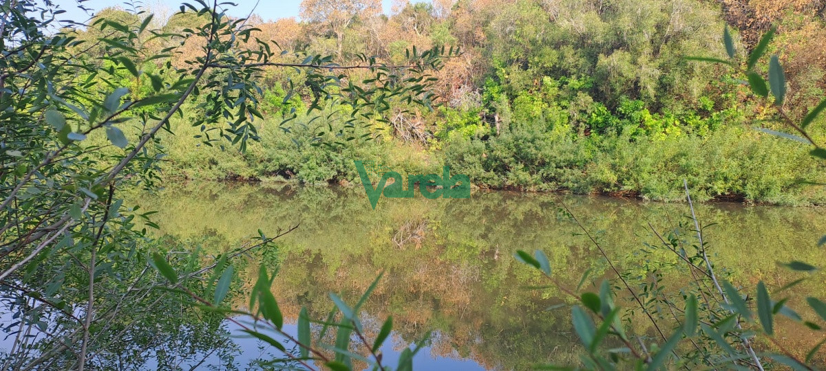 Campo Ref.21665 - Venta de Campo, Paso del Sordo, Florida, excelente campo de 37.5 has 