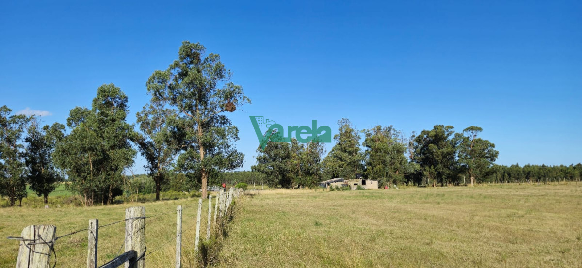 Campo Ref.22558 - Campo 31 has. Cañada Grande, próximo a Empalme Olmos y Ruta 8