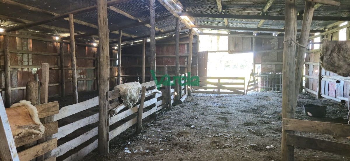Campo Ref.22419 - Campo de 27 has.en zona Piedras de Afilar
