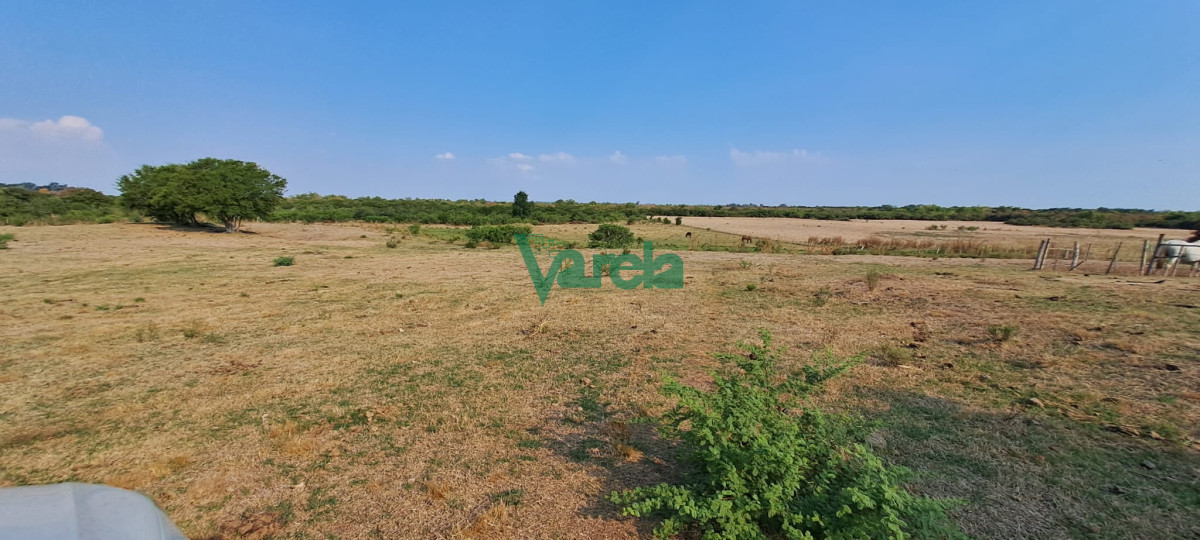 Campo Ref.21665 - Venta de Campo, Paso del Sordo, Florida, excelente campo de 37.5 has 
