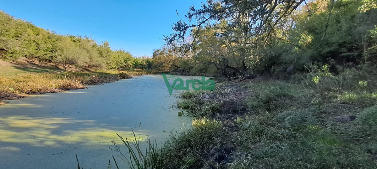 Campo Ref.21786 - Campo 108 has. próximo a San Jacinto