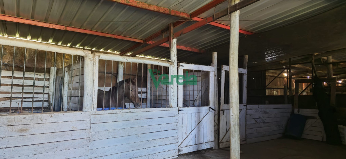 Campo Ref.22419 - Campo de 27 has.en zona Piedras de Afilar