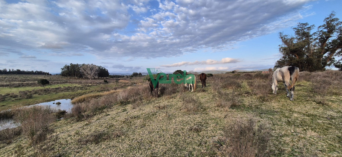 Campo Ref.22747 - Campo en venta , 36 has.a 7 km.de Solís de Mataojo 
