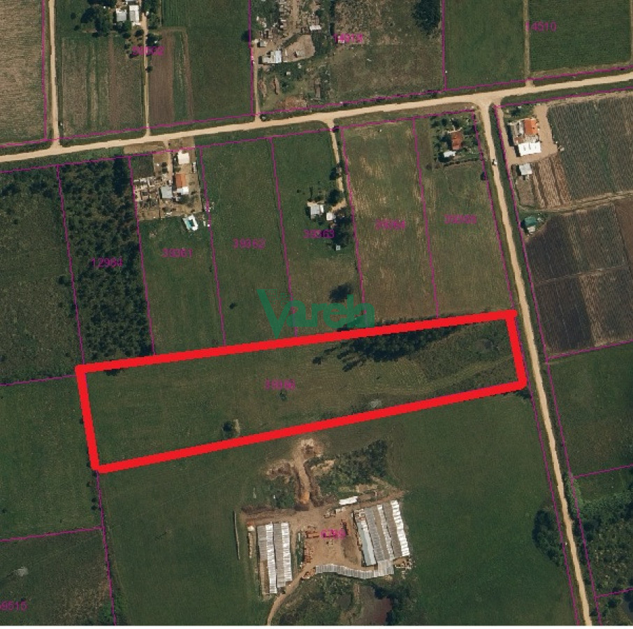 Campo Ref.23128 - Campo en venta en Pando 2ha 