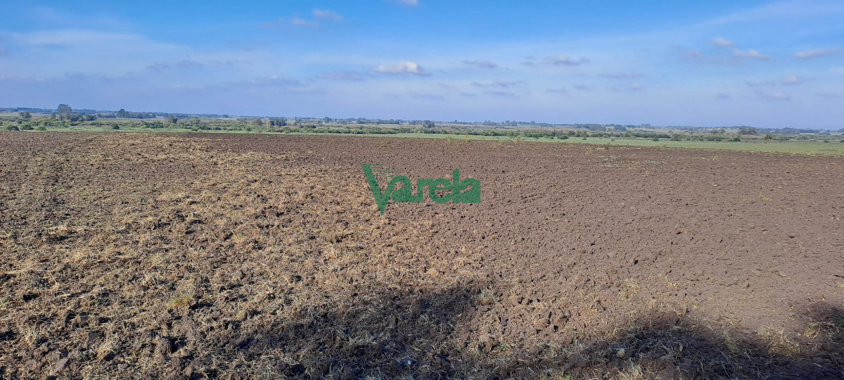 Campo Ref.21786 - Campo 108 has. próximo a San Jacinto