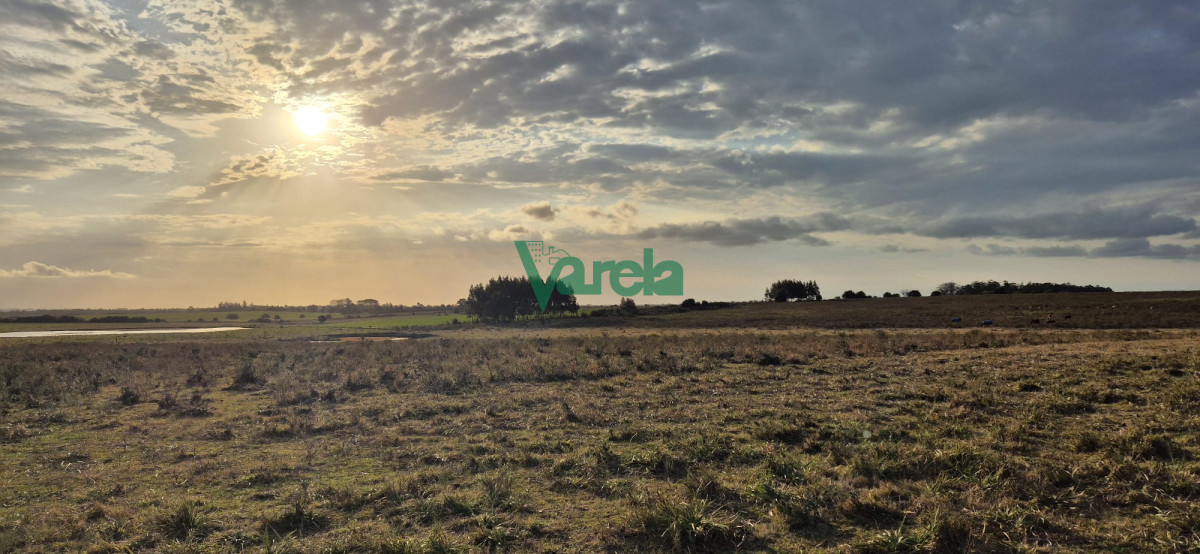 Campo Ref.22747 - Campo en venta , 36 has.a 7 km.de Solís de Mataojo 
