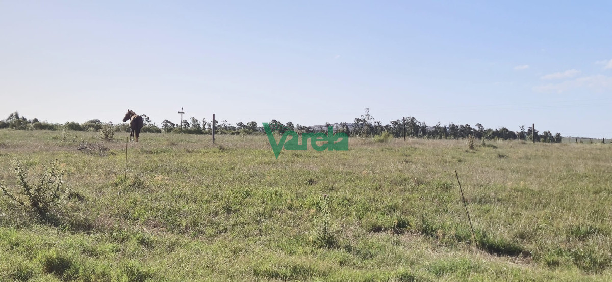 Campo Ref.22558 - Campo 31 has. Cañada Grande, próximo a Empalme Olmos y Ruta 8