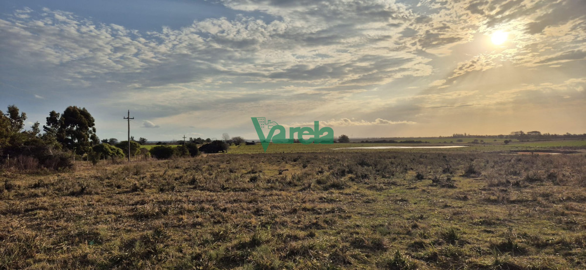 Campo Ref.22747 - Campo en venta , 36 has.a 7 km.de Solís de Mataojo 